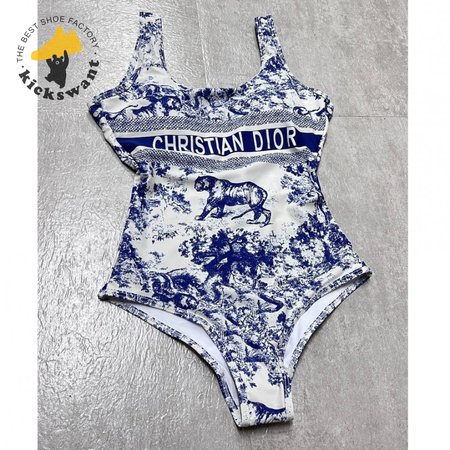 Dior One-Piece Swimsuit